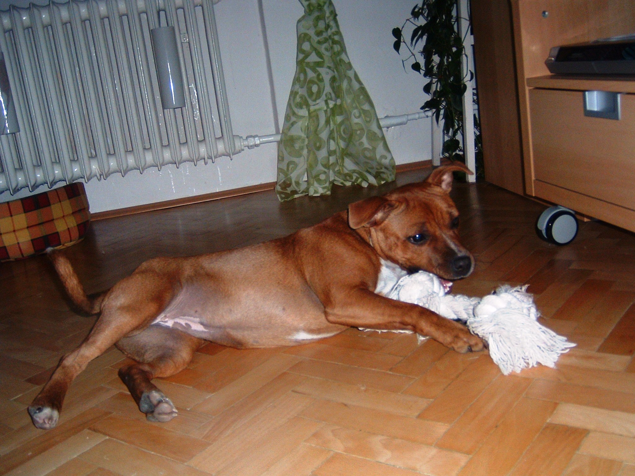 DSCF0083.JPG