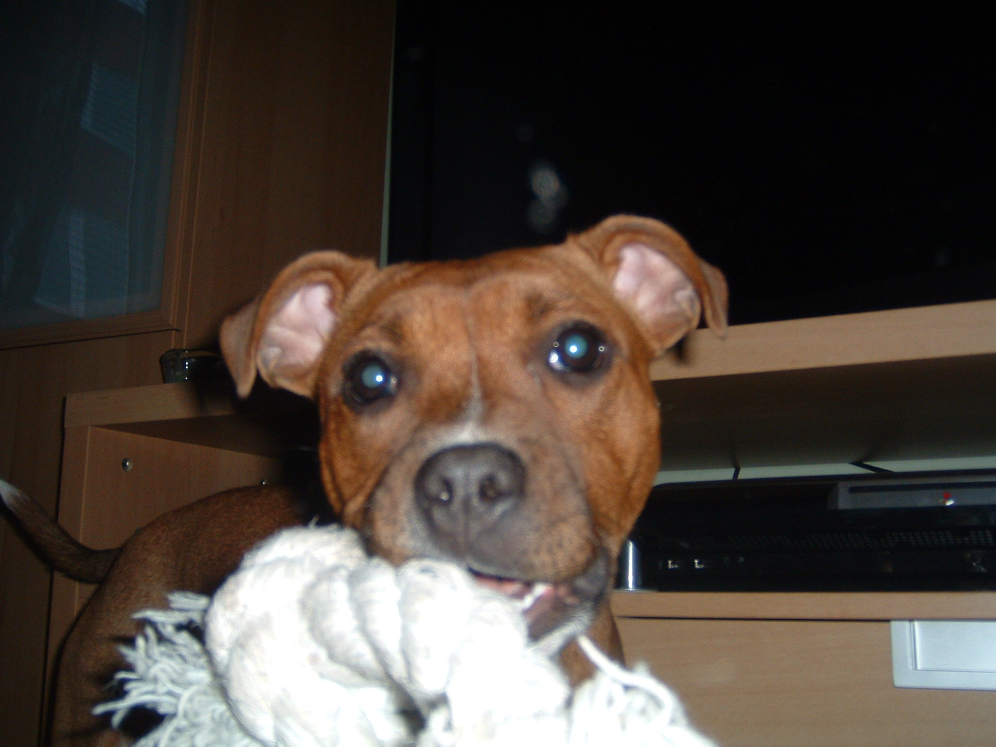 DSCF0098.JPG