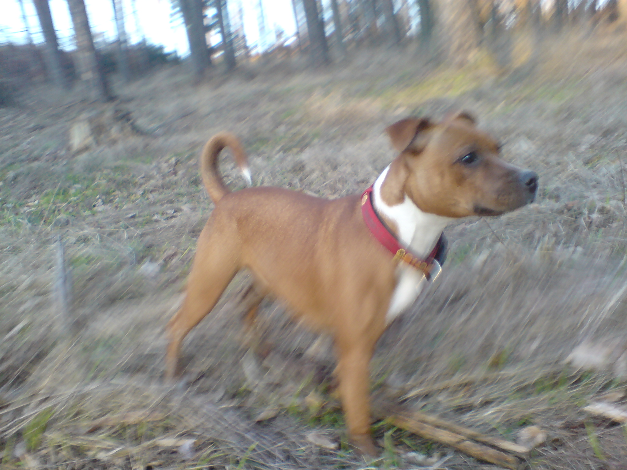 DSC01174.JPG