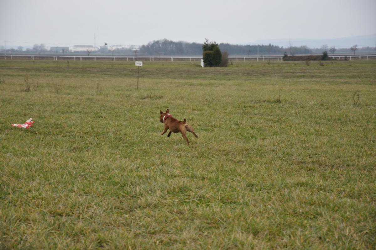 DSC_0196.jpg
