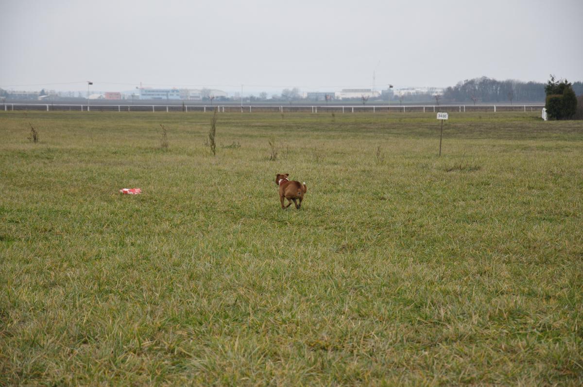 DSC_0197.jpg