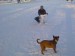 DSC07701.JPG